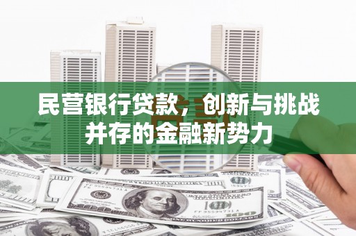 永平民营银行贷款，创新与挑战并存的金融新势力