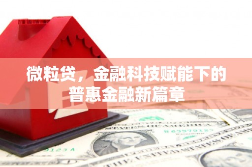 鄢陵微粒贷，金融科技赋能下的普惠金融新篇章