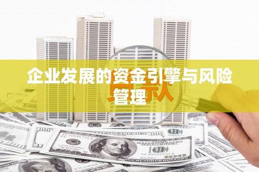 中方企业发展的资金引擎与风险管理