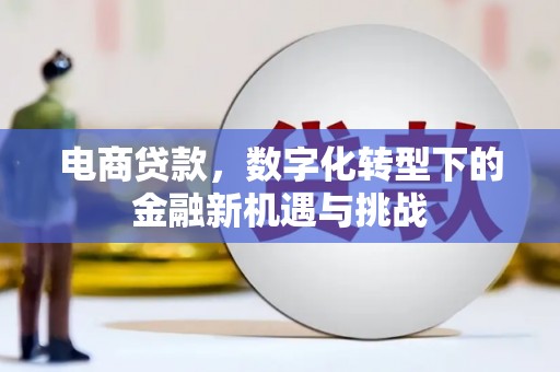 惠山电商贷款，数字化转型下的金融新机遇与挑战