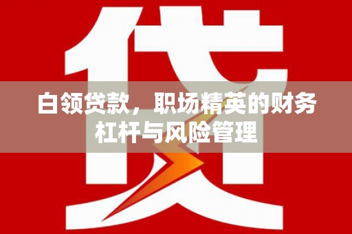 金湾白领贷款，职场精英的财务杠杆与风险管理