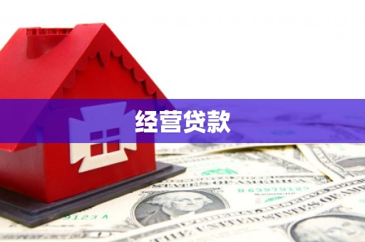 武隆经营贷款