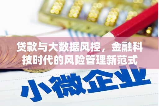 竹东贷款与大数据风控，金融科技时代的风险管理新范式