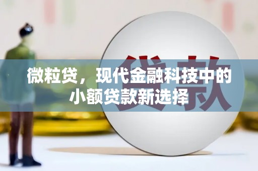 芦山微粒贷，现代金融科技中的小额贷款新选择