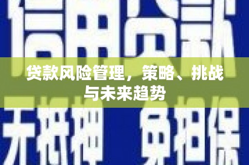 伊通贷款风险管理，策略、挑战与未来趋势