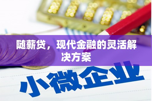 雁江随薪贷，现代金融的灵活解决方案