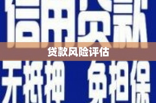 中区贷款风险评估