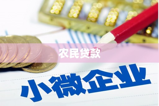 那曲农民贷款