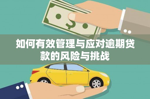 安定如何有效管理与应对逾期贷款的风险与挑战