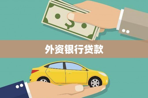 罗江外资银行贷款