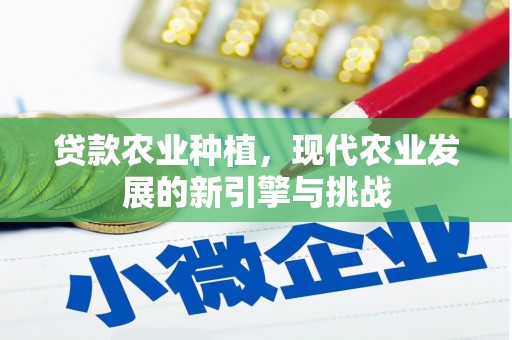 康保贷款农业种植，现代农业发展的新引擎与挑战
