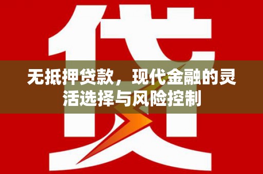 镇康无抵押贷款，现代金融的灵活选择与风险控制