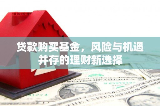 崖州贷款购买基金，风险与机遇并存的理财新选择