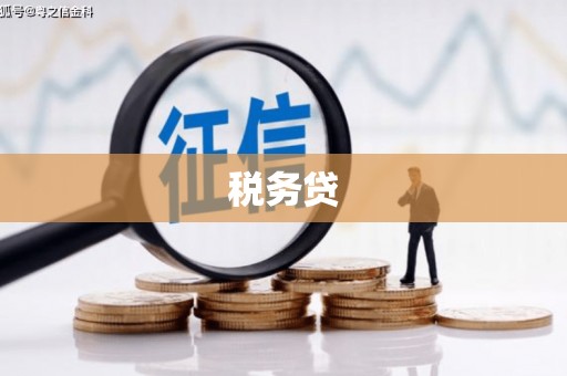 路环岛税务贷
