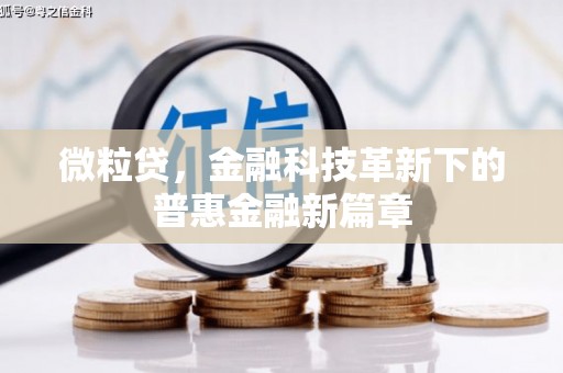 习水微粒贷，金融科技革新下的普惠金融新篇章