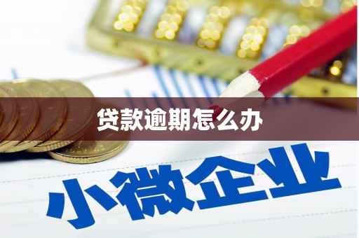 蒲江贷款逾期怎么办