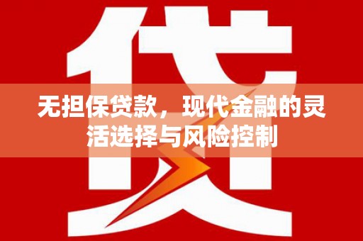 武川无担保贷款，现代金融的灵活选择与风险控制