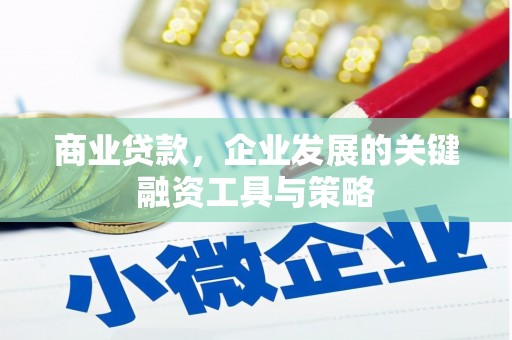 吴起商业贷款，企业发展的关键融资工具与策略