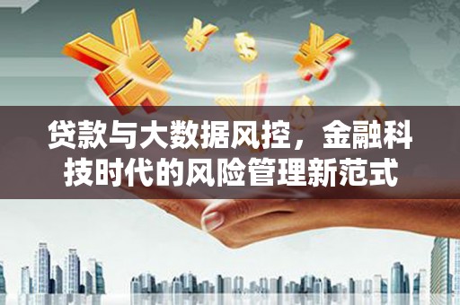 谢家集贷款与大数据风控，金融科技时代的风险管理新范式