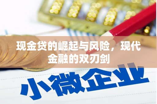 丰原现金贷的崛起与风险，现代金融的双刃剑