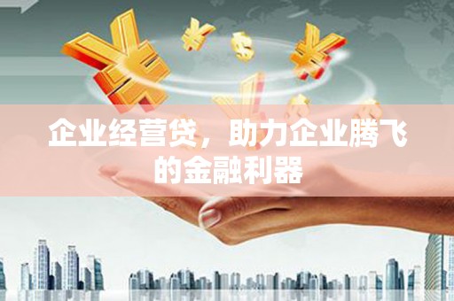 临漳企业经营贷，助力企业腾飞的金融利器