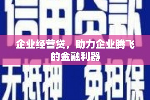 芦淞企业经营贷，助力企业腾飞的金融利器