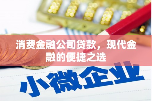 永平消费金融公司贷款，现代金融的便捷之选