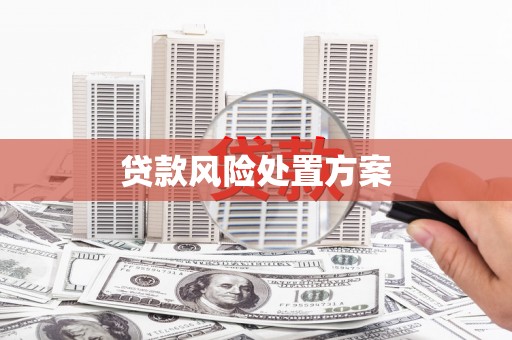上林贷款风险处置方案