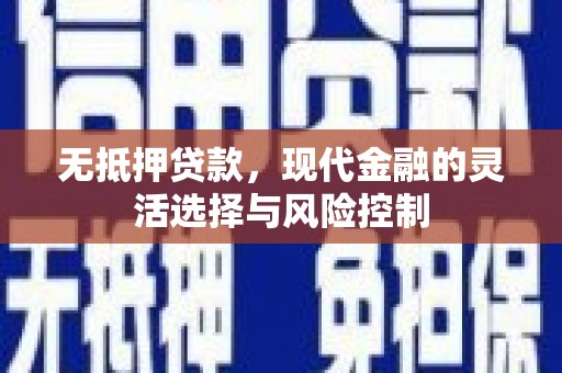 甘洛无抵押贷款，现代金融的灵活选择与风险控制