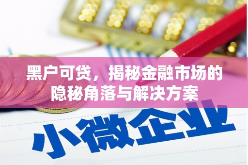 柳州黑户可贷，揭秘金融市场的隐秘角落与解决方案