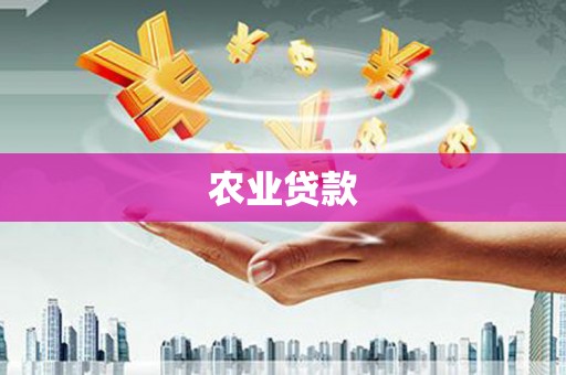 汝阳农业贷款