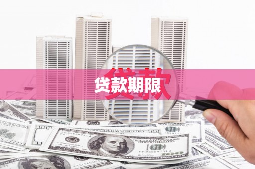 莱城贷款期限