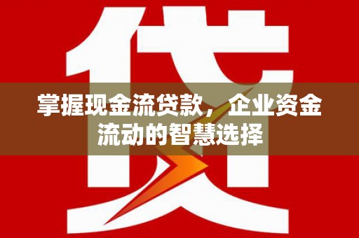 嘉祥掌握现金流贷款，企业资金流动的智慧选择