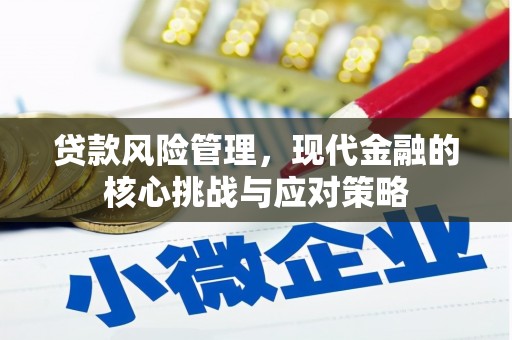 定兴贷款风险管理，现代金融的核心挑战与应对策略