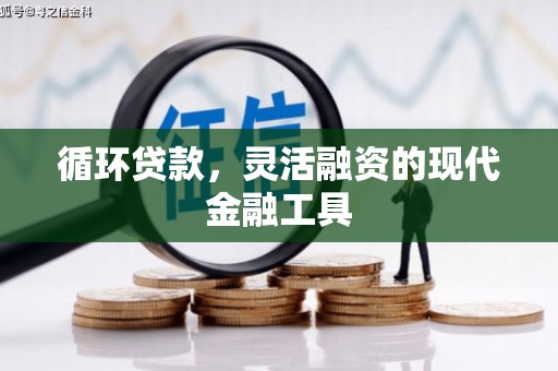 月湖循环贷款，灵活融资的现代金融工具