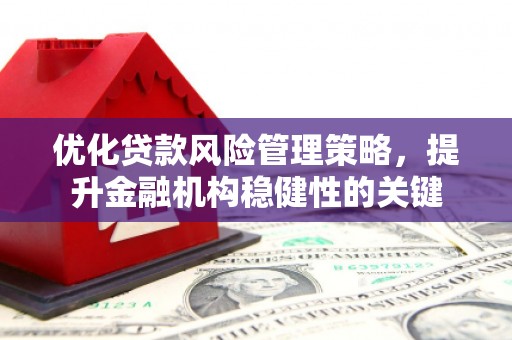 永康优化贷款风险管理策略，提升金融机构稳健性的关键