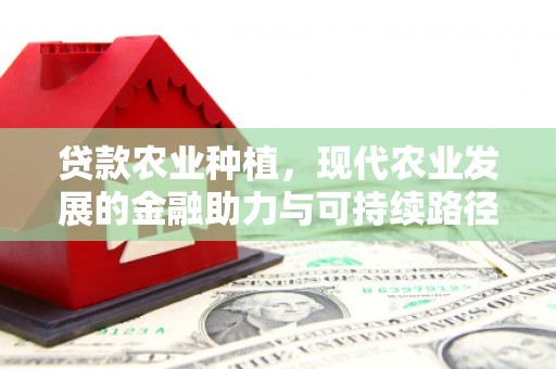 房县贷款农业种植，现代农业发展的金融助力与可持续路径
