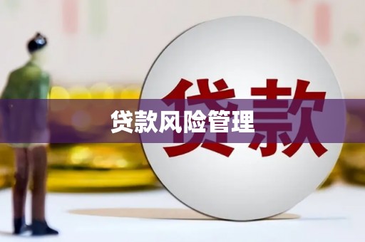 西市贷款风险管理