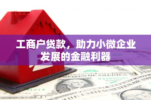 土库工商户贷款，助力小微企业发展的金融利器