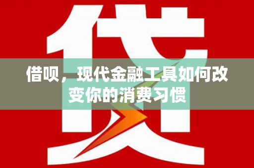 沈河借呗，现代金融工具如何改变你的消费习惯