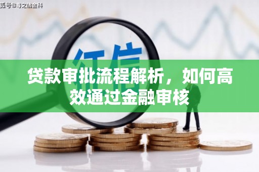 丰满贷款审批流程解析，如何高效通过金融审核