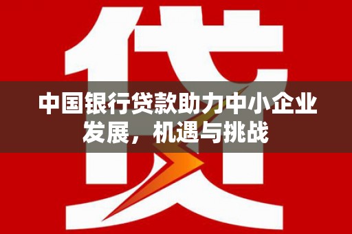 金秀中国银行贷款助力中小企业发展，机遇与挑战