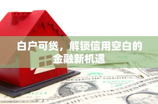 河源白户可贷，解锁信用空白的金融新机遇