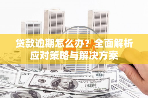 龙川贷款逾期怎么办？全面解析应对策略与解决方案
