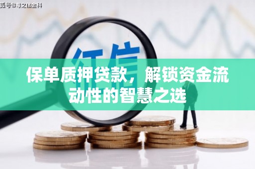 文安保单质押贷款，解锁资金流动性的智慧之选