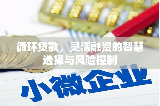 双鸭山循环贷款，灵活融资的智慧选择与风险控制