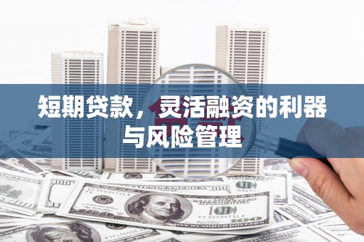 肃南短期贷款，灵活融资的利器与风险管理