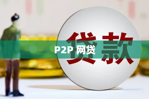 萨嘎P2P 网贷