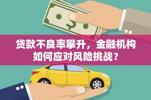 疏附贷款不良率攀升，金融机构如何应对风险挑战？