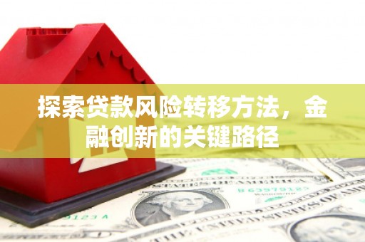芦淞探索贷款风险转移方法，金融创新的关键路径